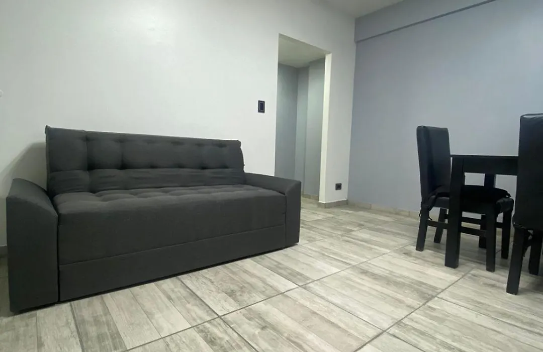 Recoleta House (Luminoso)-1