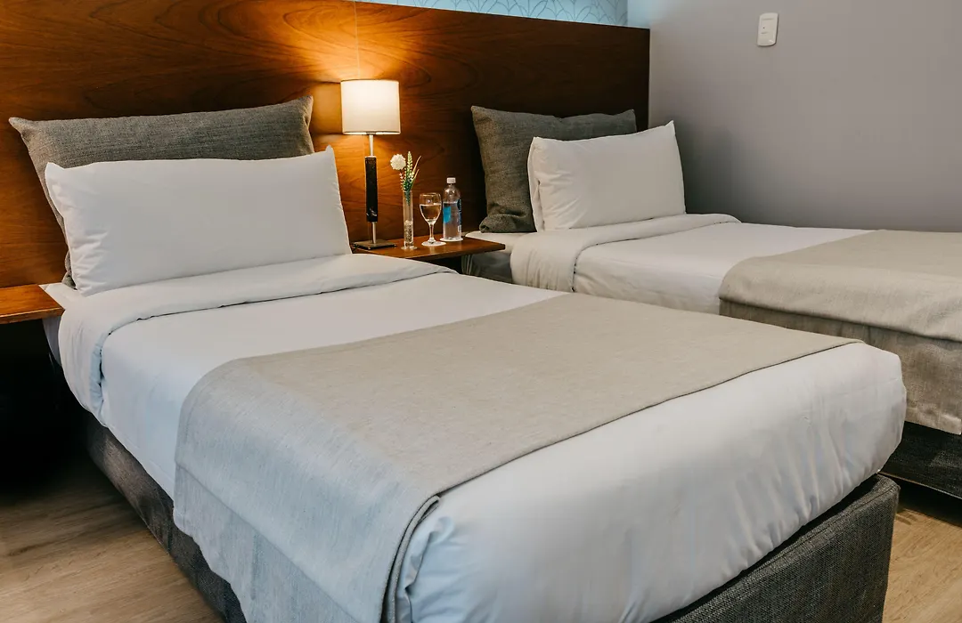 Rochester Hotel Concept-1