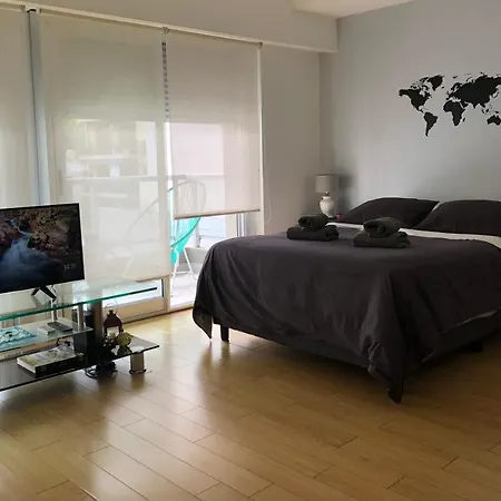 Cozy Studio In Palermo Soho With Security 24 Hs-2