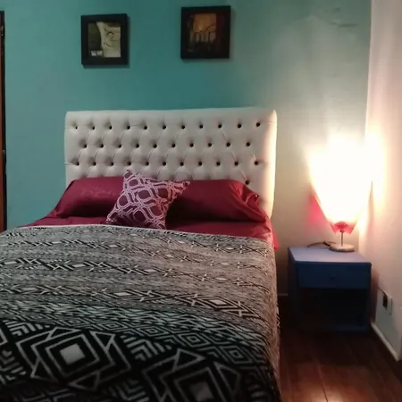 Family House-2