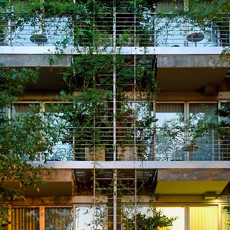 Palo Santo Hotel-3