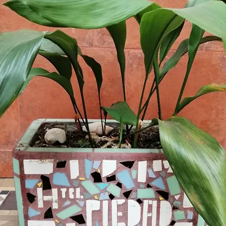 Hotel La Piedad-2