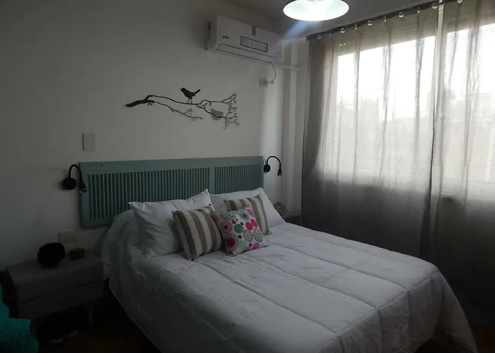 Apio Studio Centro